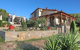 Blue & Green Villa
